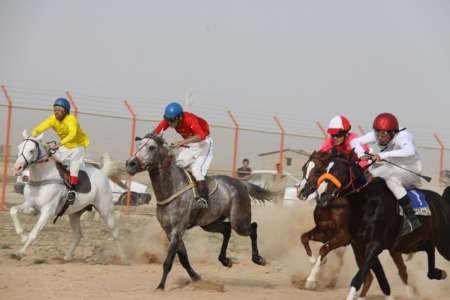 اسبدوانی دزفول