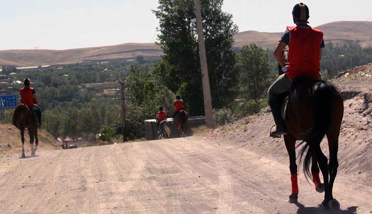 سوارکاری استقامت