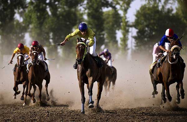 اسبدوانی گنبدکاووس