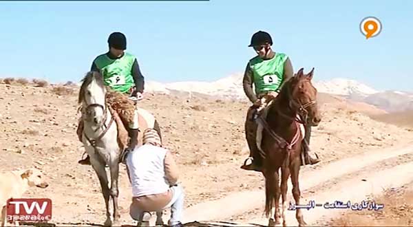 سوارکاری استقامت